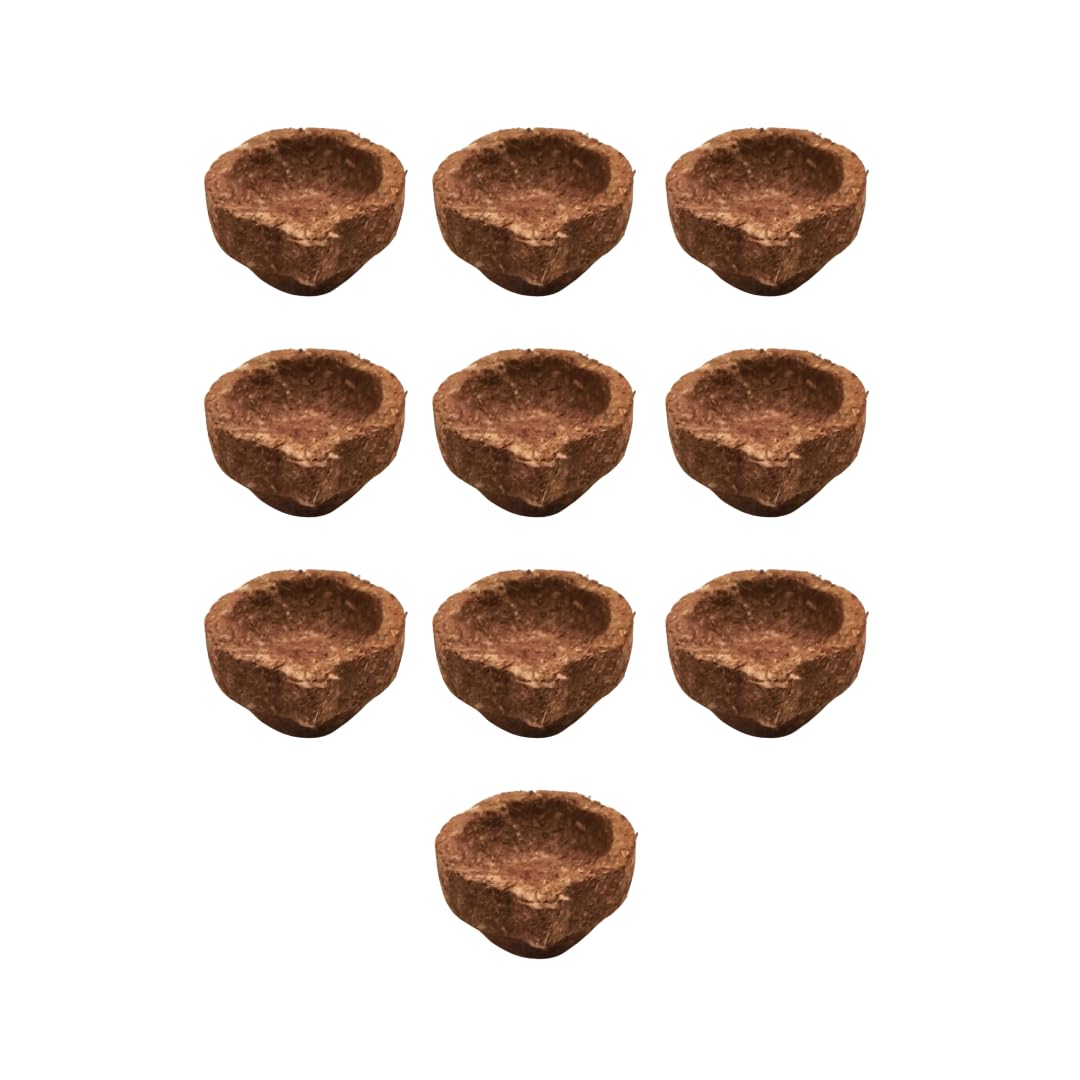 10 Panchagavya Vilakku with 10 Lotus Wicks