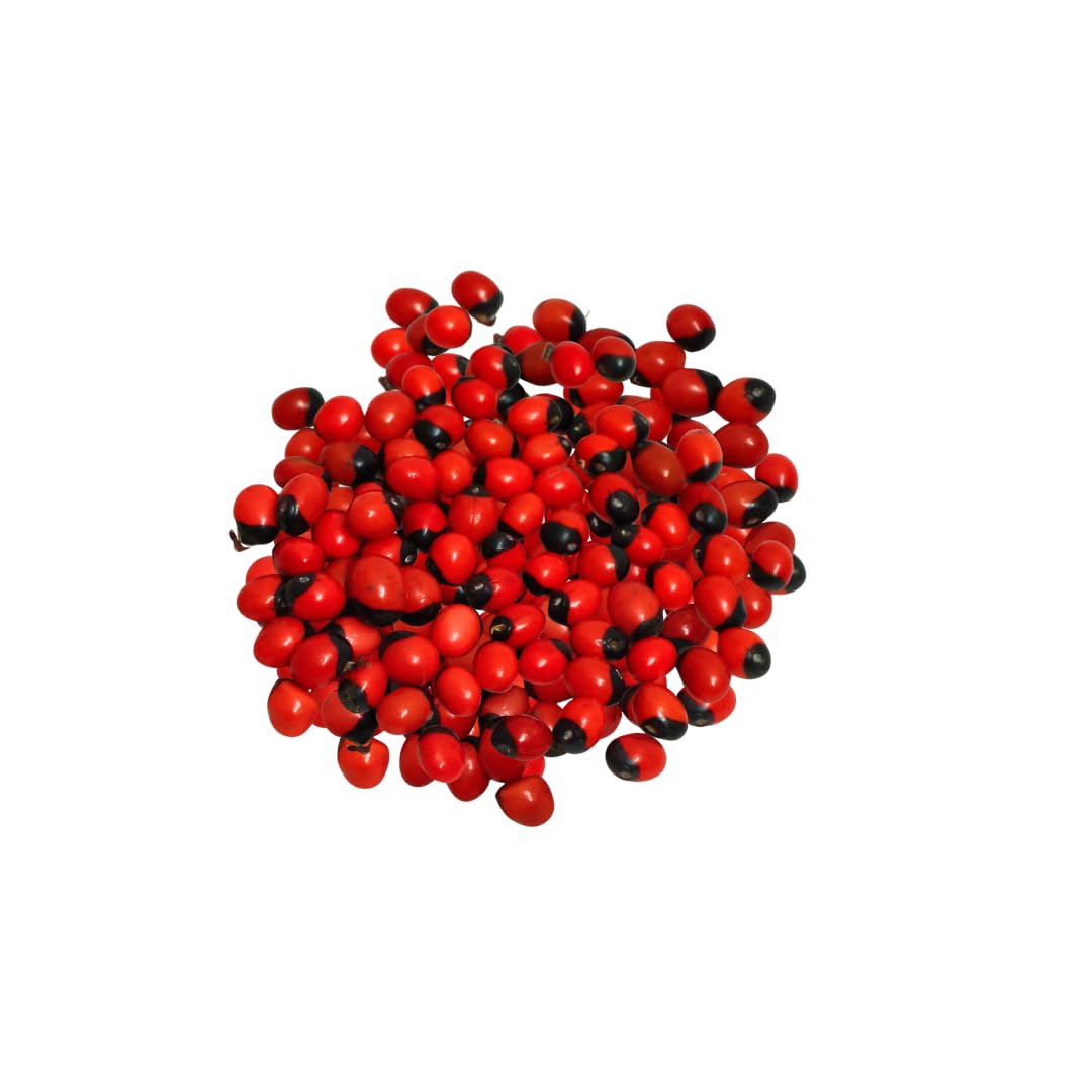 Red Kundumani Chirmi Seeds