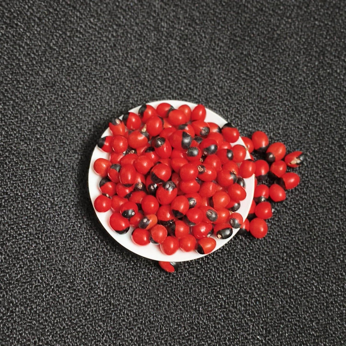 Red Kundumani Chirmi Seeds