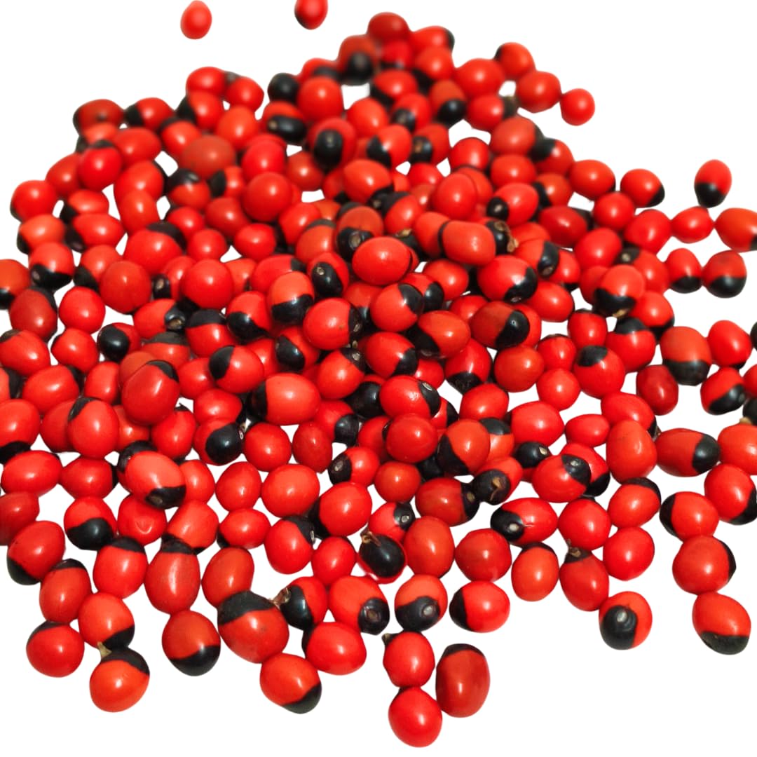 Red Kundumani Chirmi Seeds